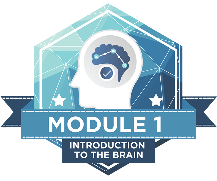 Module 1 Badge